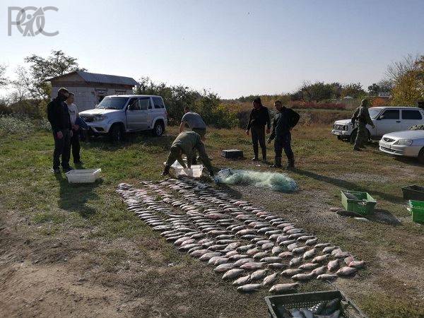 В Ростовской области браконьер за 100 кг рыбы заплатит более миллиона рублей