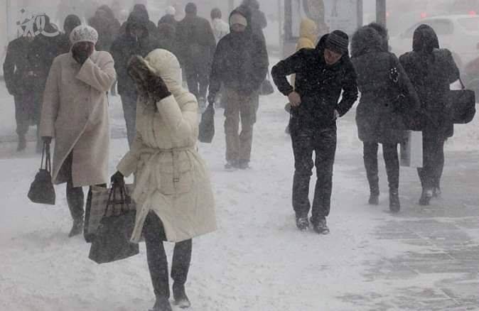 В Ростовскую область пришла непогода со снегопадами