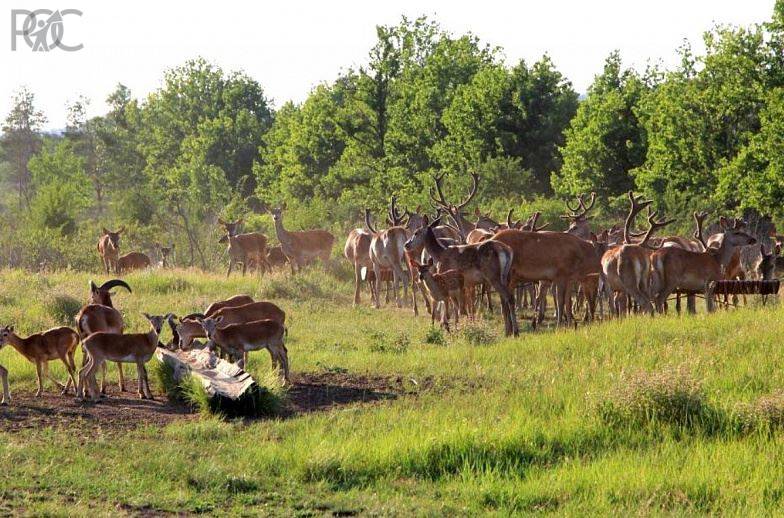 В Ростовской области есть 233 тысячи гектаров для развития экотуризма