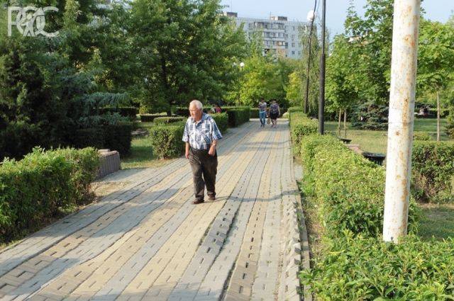 Губернатор поручил провести реконструкцию ростовского парка «Дружба»