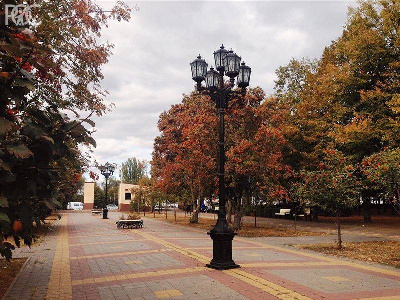 Ростовские парки хотят передать в частные руки