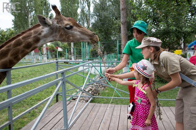Вольер для карликовых бегемотов и здания львятника:  ростовский зоопарк нуждается в финансировании