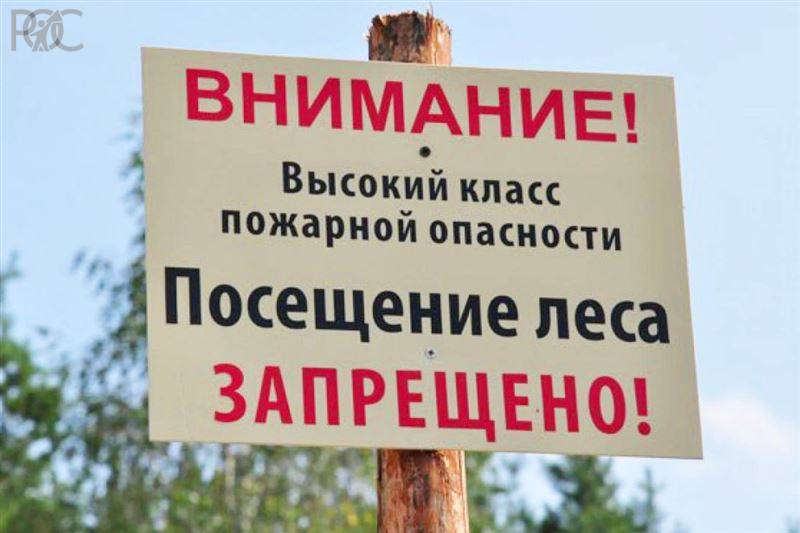 В Ростовской области запретили посещение лесных территорий