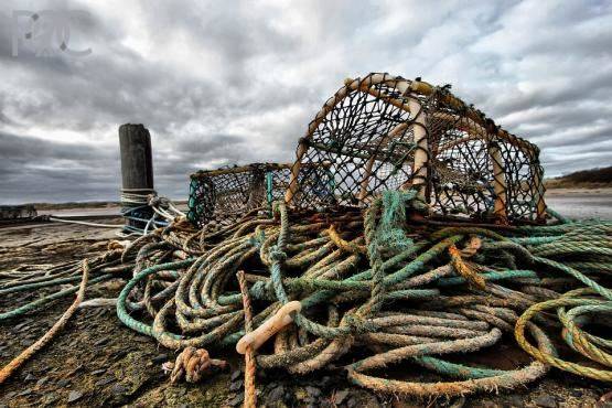 Рыбный промысел в Таганрогском заливе на грани исчезновения