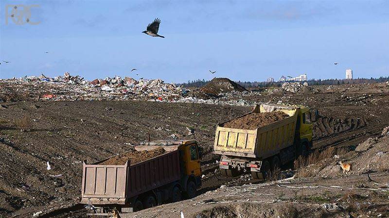 Тариф на вывоз мусора в Ростовской области обещают снизить дважды