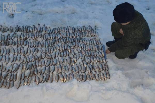На берегу Таганрогского залива пограничники с помощью местных жителей задержали браконьеров