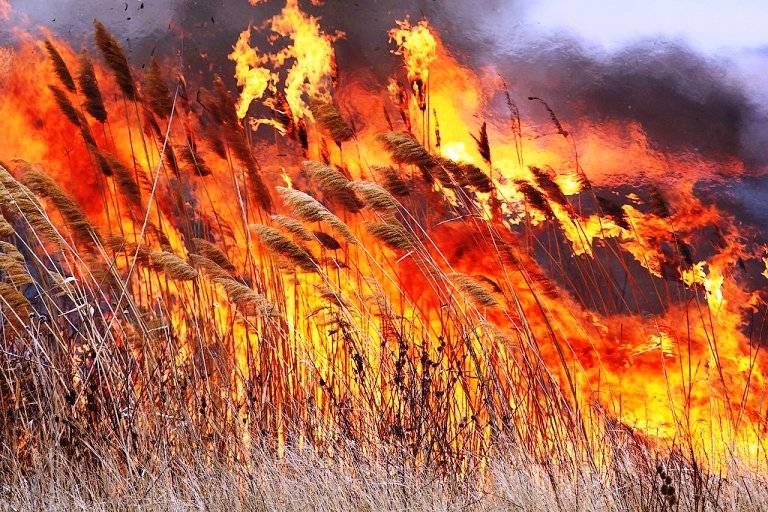 Ростовскую область отнесли к регионом со сложной обстановкой с пожарами