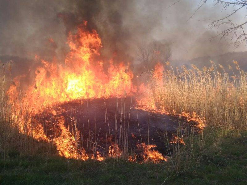 В Ростовской области губернатор потребовал применять более жесткие меры к поджигателям