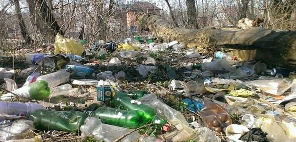 Без помощи жителей рощу вдоль Шолохова от мусора не очистить