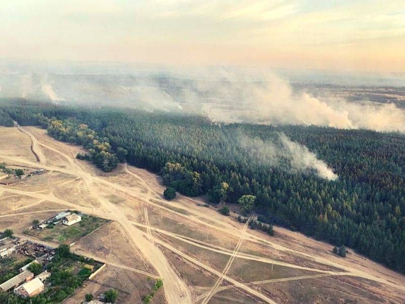 Сентябрьский пожар уничтожил в Ростовской области 1 600 гектаров леса