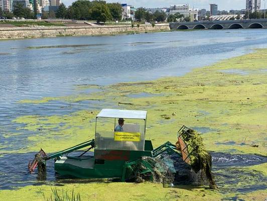 20 млрд потратит правительство Ростовской области на очистку реки Дон до 2024 года