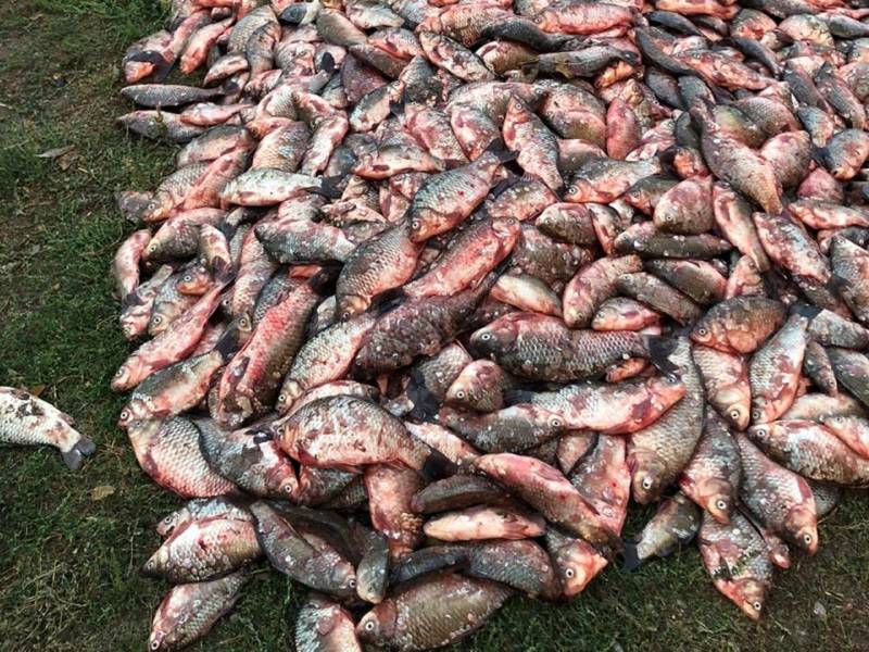 Под Таганрогом сотрудники ФСБ задержали браконьеров с двумя тоннами рыбы