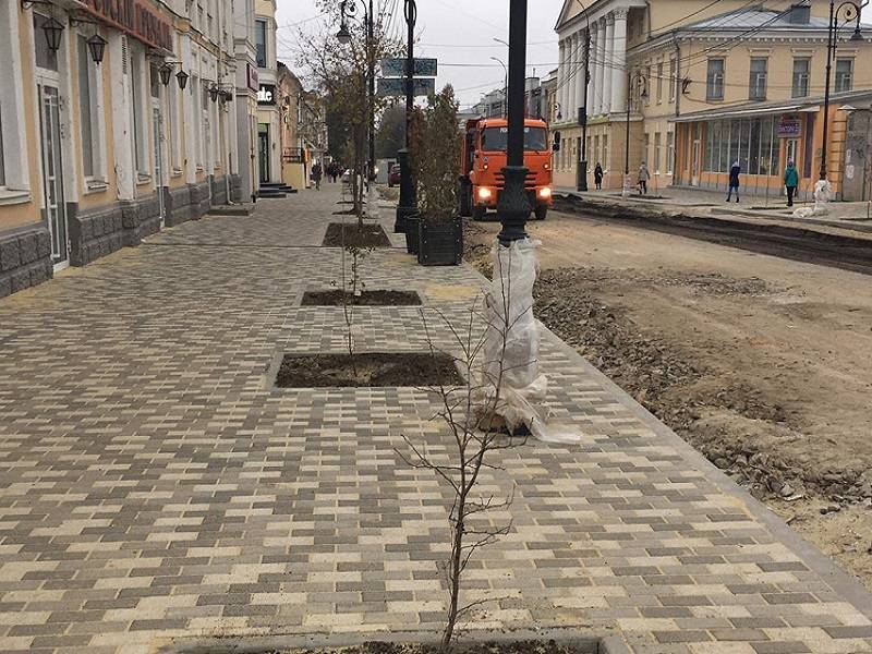 В Таганроге на Петровской вместо уничтоженных многовековых деревьев посадили саженцы