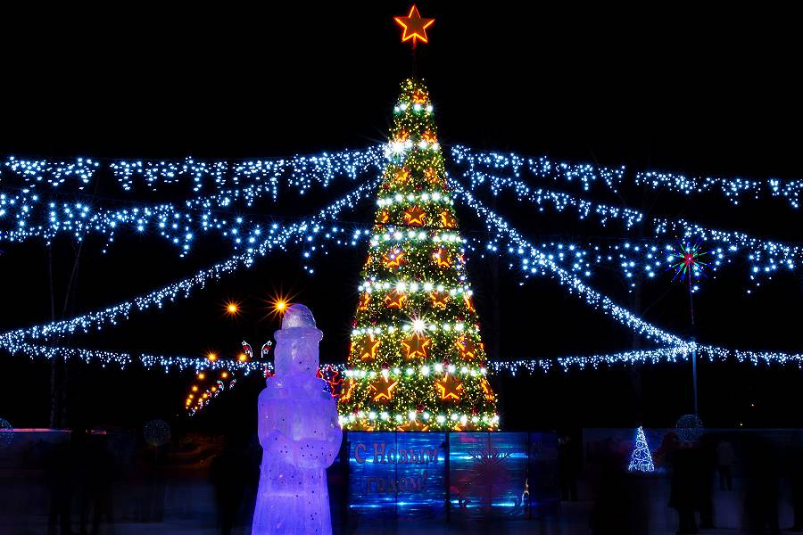 Ростовчанам открытие городской новогодней елки придется смотреть на экране