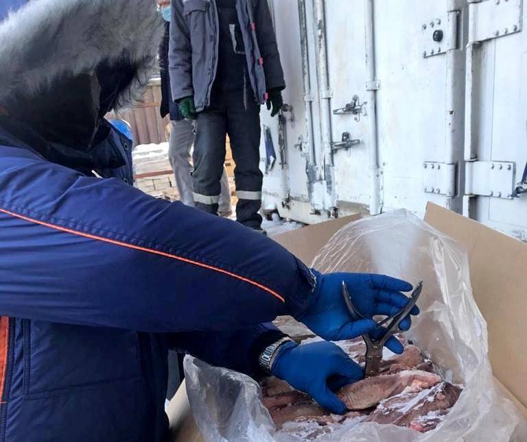 В Ростове в двух торговых точках обнаружена свинина, зараженная африканской чумой