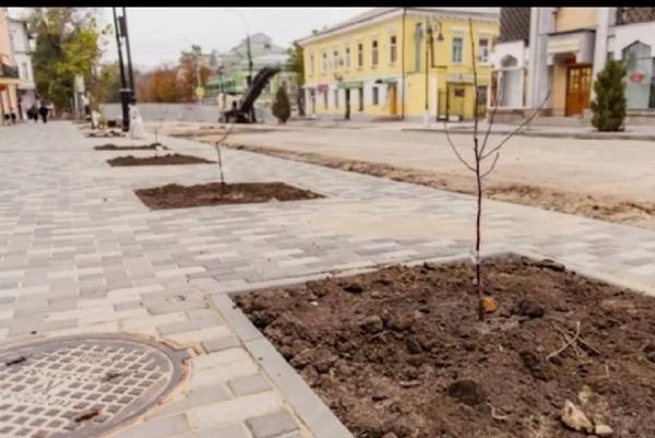 В Таганроге «конвульсии» с озеленением главной улицы, возможно, прекратятся