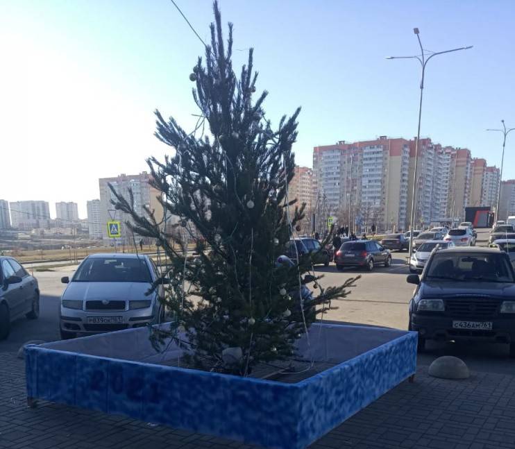 Жители спальных районов Ростова раскритиковали вид новогодних елок