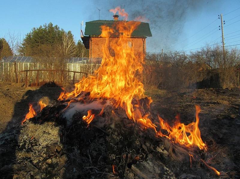 Жителям частных домов в Ростовской области запретили жечь мусор во дворах