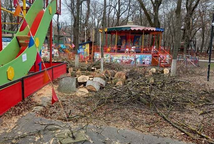 В парке Островского вместо 153 вырубленных деревьев власти обещают посадить 199 новых