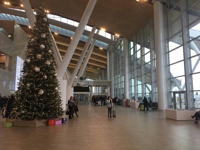 В ростовском аэропорту Платов самым напряженным станет 29 декабря