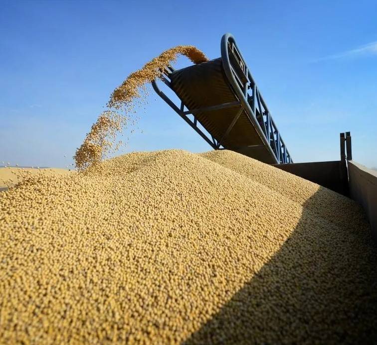 После повышения экспортных пошлин на зерно донские сельхозпроизводители могут потерять 28 млрд рублей