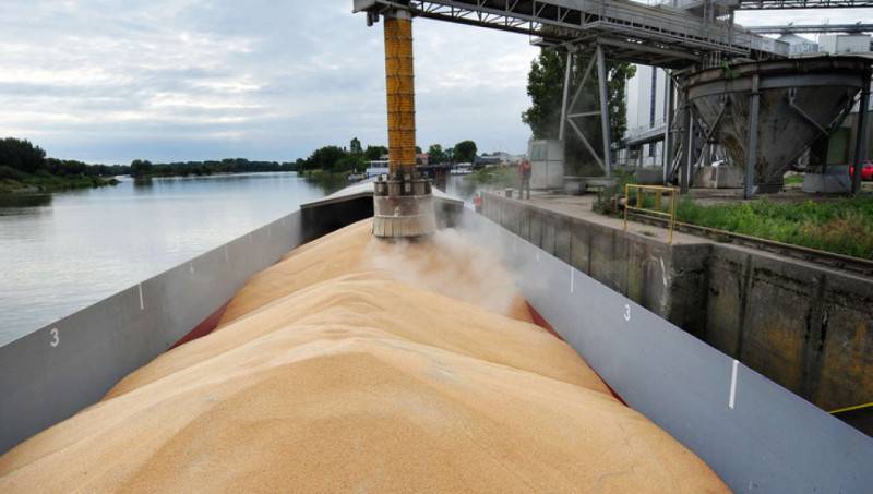 Два ростовских зернотрейдера получили почти треть  российской квоты на экспорт зерна