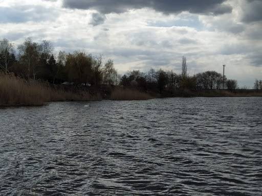Жители Азовского района получили доступ к Дону и озеру  только после обращения к президенту