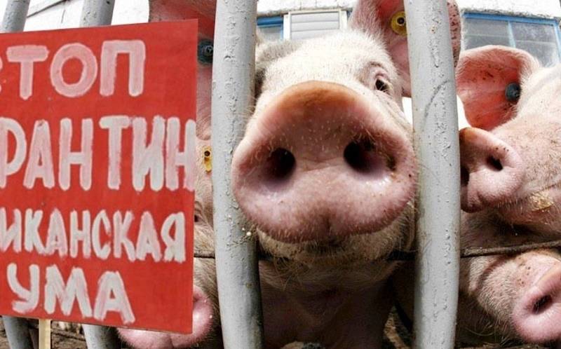 В колбасе, выпускаемой производителем в Ростовской области, нашли возбудителя африканской чумы свиней