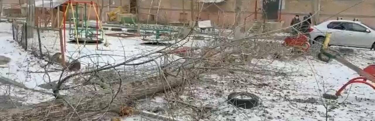 В Ростове дерево рухнуло на детскую площадку