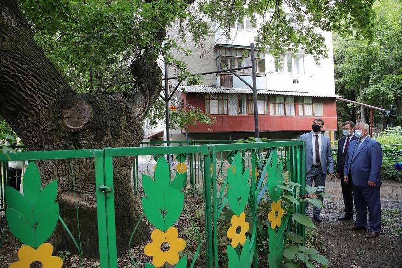 В основанной Петром I таганрогской роще «Дубки» вырубят 160 деревьев