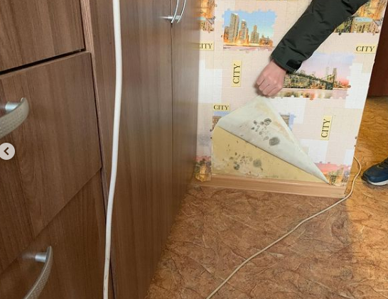 Информацию СМИ о нехороших квартирах для сирот в Ростовской области проверят в Следкоме