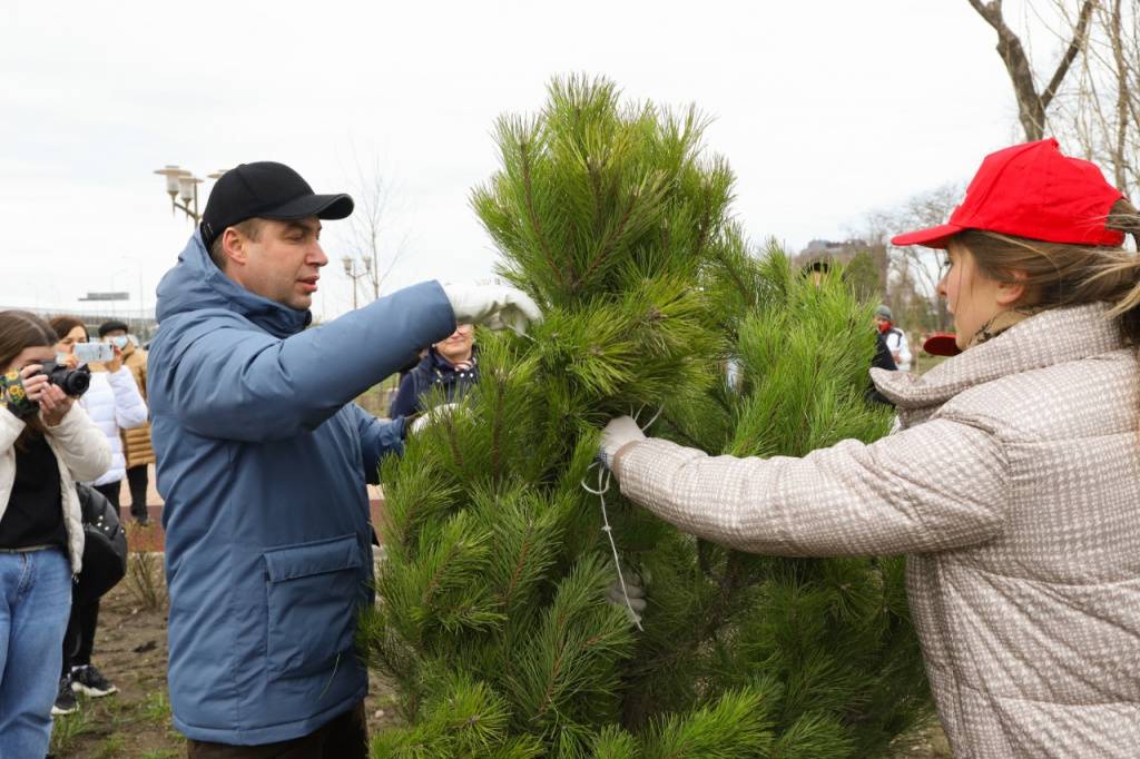 Более 200 тысяч деревьев посадили на Дону в традиционный День древонасаждения