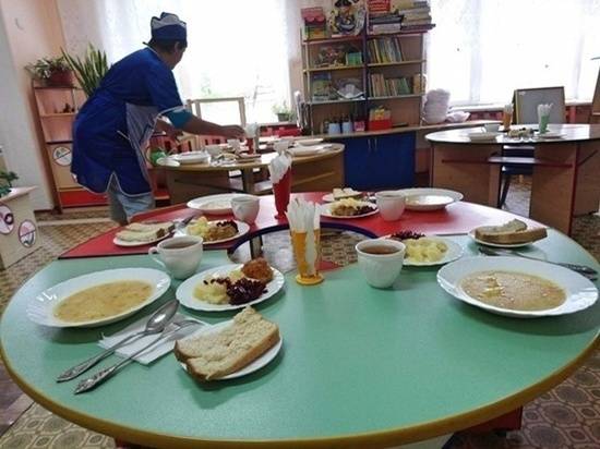 В Ростовской области следком проверит обстоятельства отравления пищей 63 детсадовцев