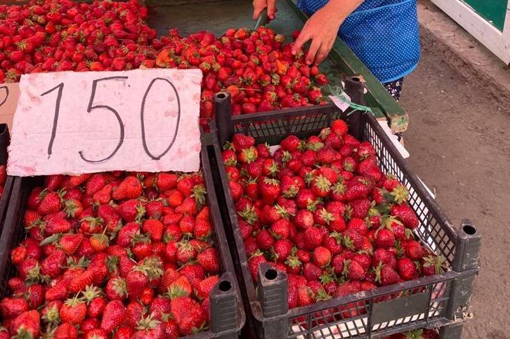 Где продают дешевые клубнику, помидоры и огурцы, выяснили власти в Ростове