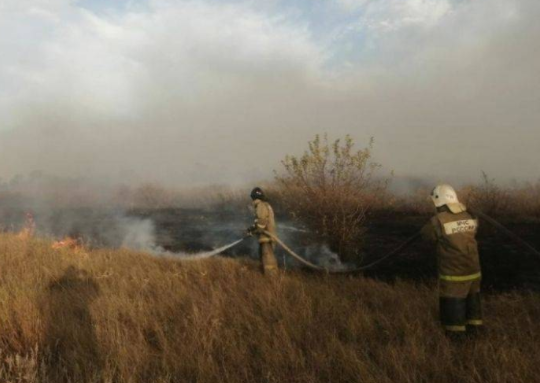 На Дону устроившего лесной пожар автоугонщика приговорили к 3,5 годам колонии