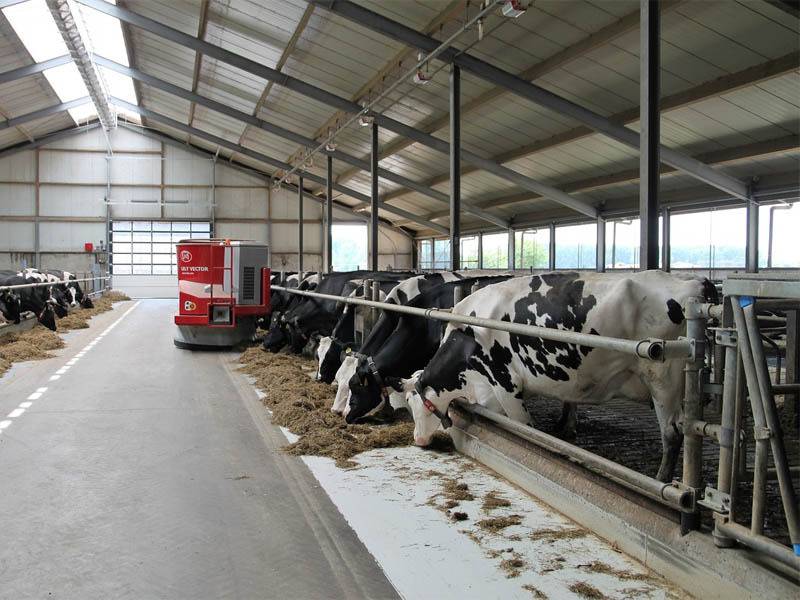 Производители молока осенью готовятся повысить цены на 7-10%