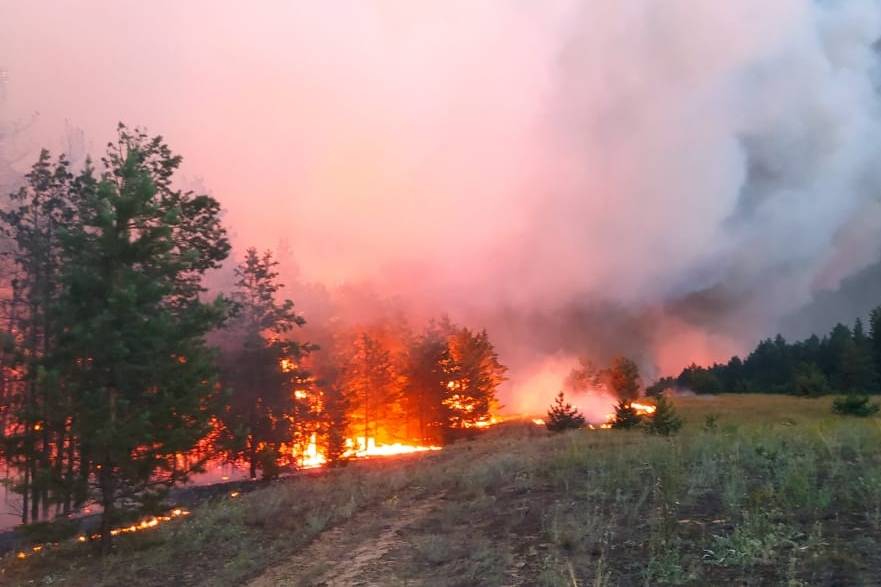 На севере Ростовской области потушили крупный лесной пожар