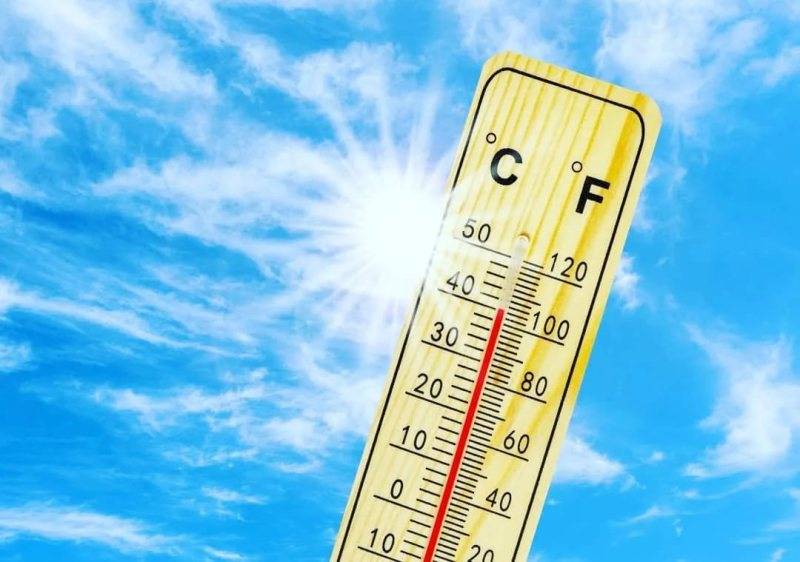 Аномальная жара ожидается в Ростове в ближайшие три дня