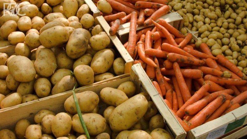 В Ростовской области этой зимой в 2,6 раза подорожает картофель
