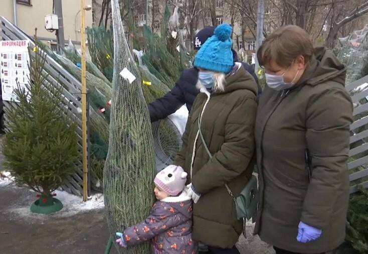 В Ростовской области с 29 ноября снимут ряд коронавирусных ограничений и разрешат елочные базары