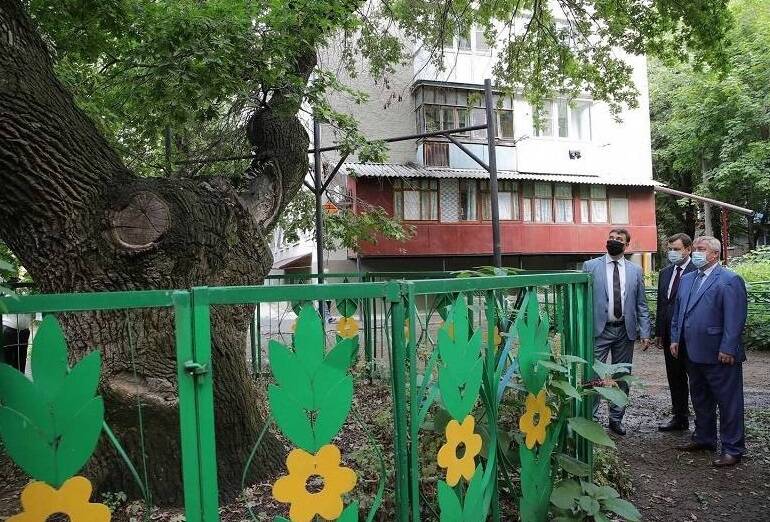 В Гринпис собирают подписи против уничтожения памятников природы в Ростовской области