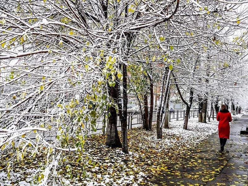 В Ростовской области этой ночью ожидается первый снег