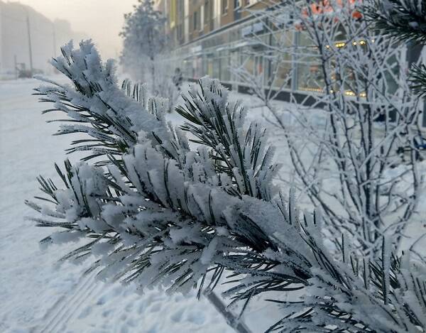 В Ростовской области в новогоднюю ночь ожидается мороз до минус 12 градусов