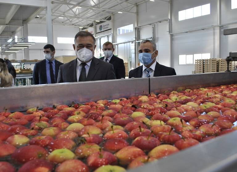В Ростовской области заработал фруктовый центр при яблоневых садах за 600 млн рублей