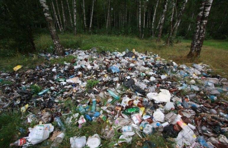 В Ростове на уборку лесных опушек выделили 3,5 млн рублей на три месяца