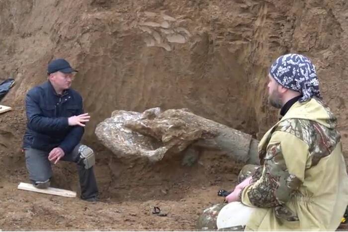 На побережье Таганрогского залива обнаружен череп трогонтериевого мамонта