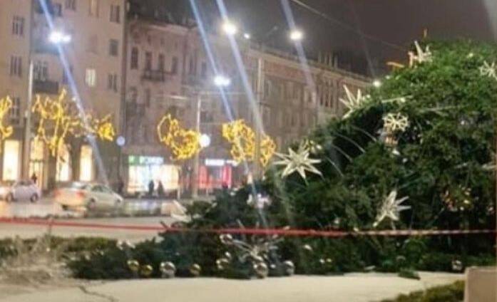 В Ростове из-за ветра погнулась и рухнула на Большую Садовую главная новогодняя ель