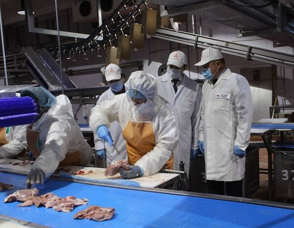 Решение суда грозит остановкой производства утиного мяса на Дону