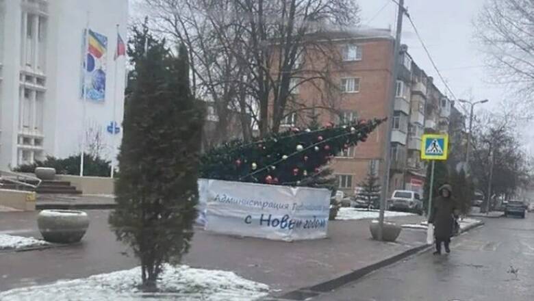 В Ростове из-за жуткого урагана упала вторая новогодняя елка