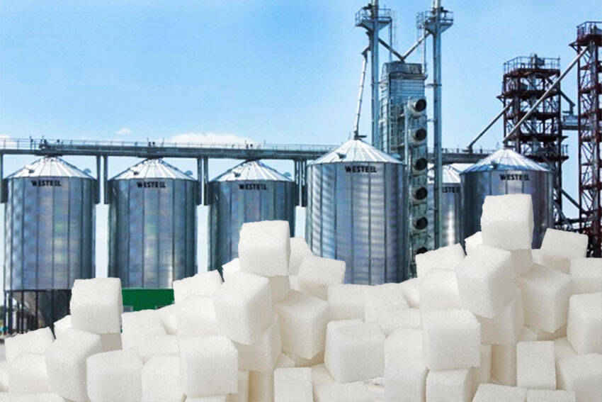 В Ростовской области за 21 млрд рублей построят первый сахарный завод